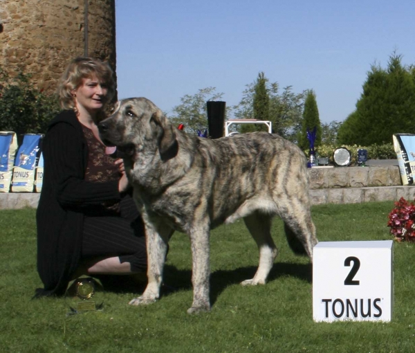 Jenny Mastibe: VG 2, Puppy Class Females - Monográfica Aepme 13.09.2008
(Basil Mastifland x Goya Mastibe) - born: 20.12.07

Keywords: 2008 mastibe