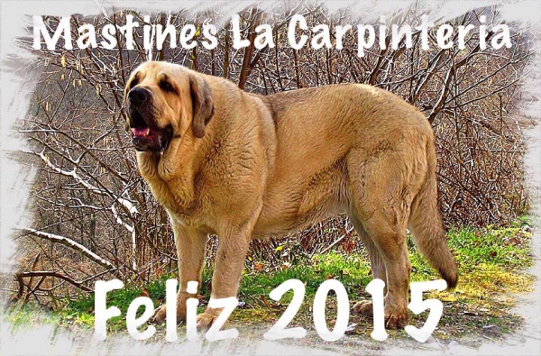 Happy New Year 2015 from Carpinteria, Spain 
Keywords: xmas