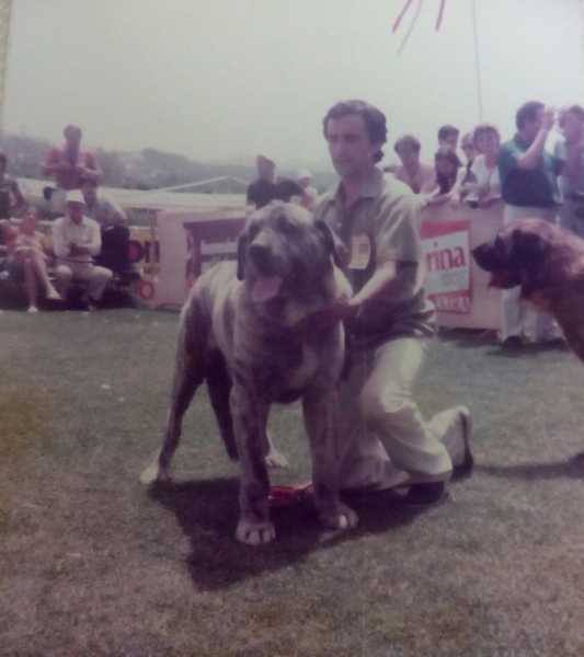 Tigre in World Dog Show 1983
Keywords: 1983