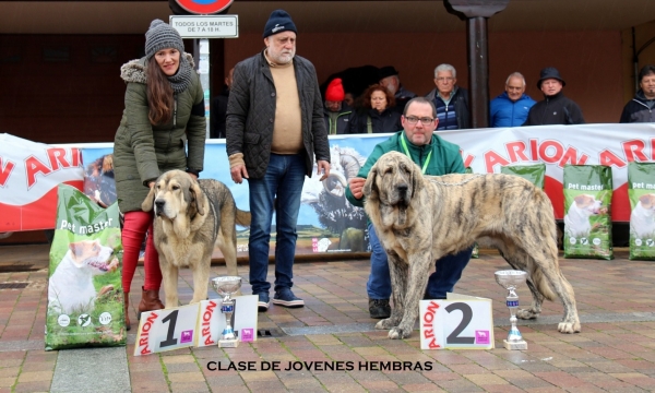 1. Pilar de Serylu, 2. Tormenta - Clase jovenes hembras Mansilla de las Mulas, Spain 10.11.2019
