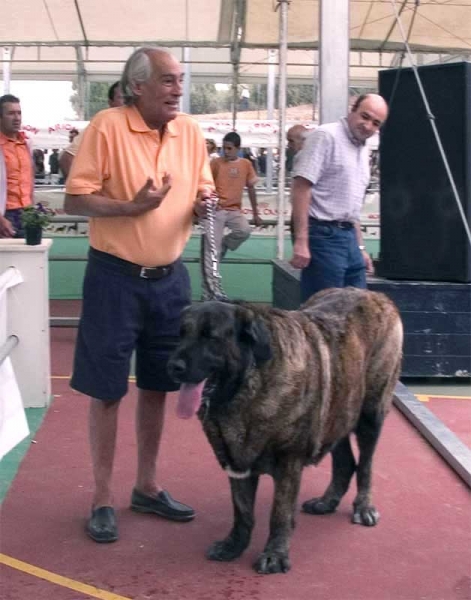 Cleopatra - Specialty Show Spanish Breeds, Archidona, Málaga - 29-05-2005
Female, 4 years old.
Owner: Jesús Bonilla  

Keywords: 2005