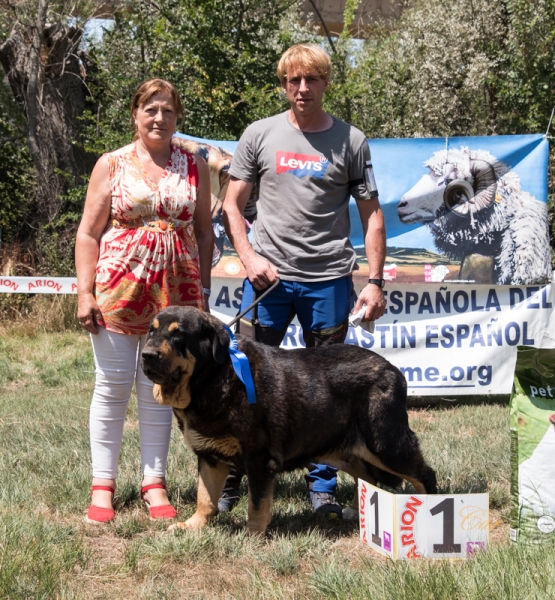 Finales: Unica de los Cuatro Elementos en veteranos hembra exc 1- Fresno del Camino, León, Spain 11.08.2019
Keywords: 2019 veterano veteran