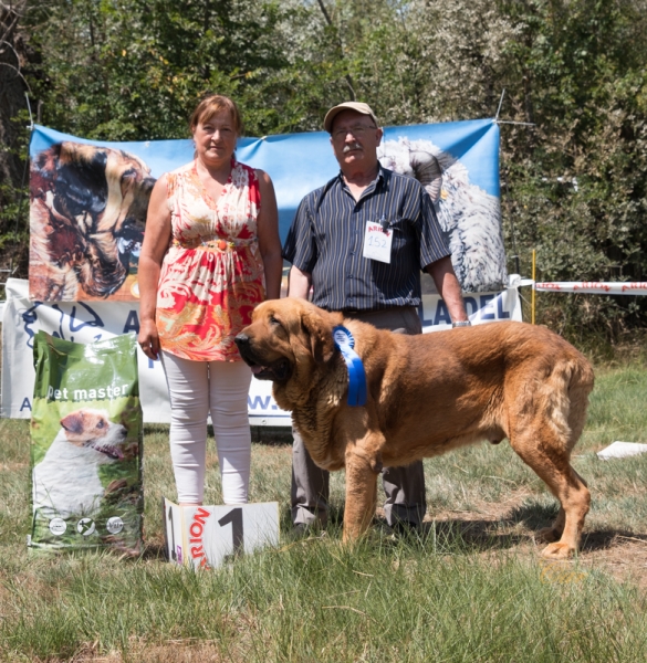 Finales: Uno de Autocan en veteranos macho exc 1 - Fresno del Camino, León, Spain – 11.08.2019
Keywords: autocan 2019 veteran veterano