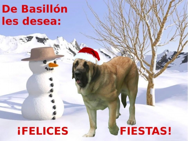 Merry Christmas 2019 from Basillon
