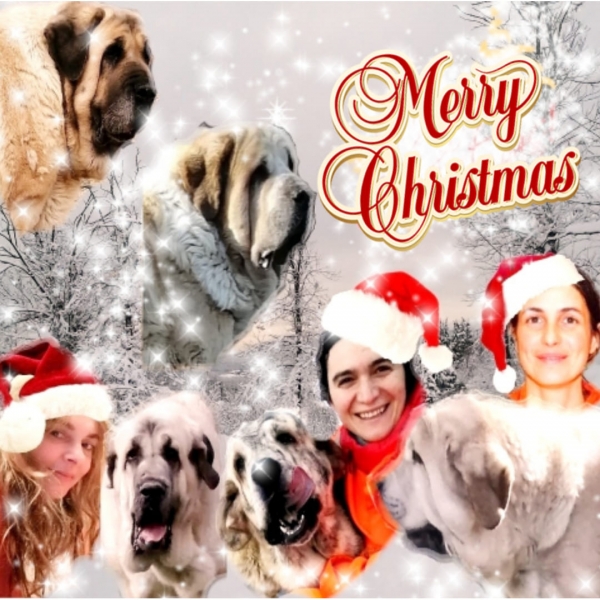 Merry Christmas 2020 from Dharmapuri
