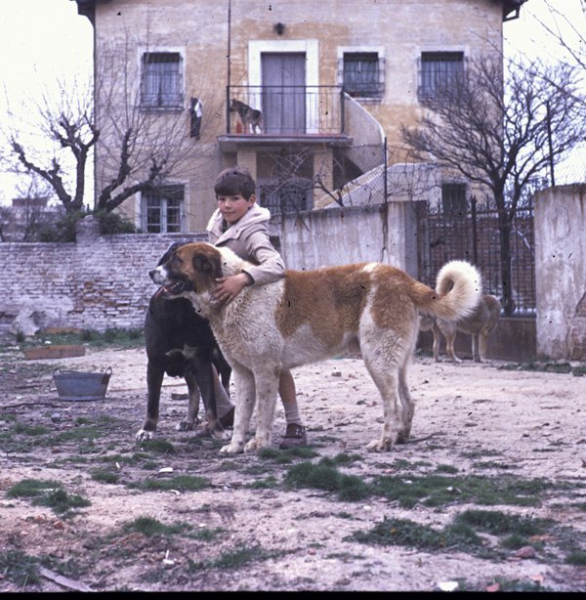 Maura - la foto debe ser del 67
Keywords: 1967