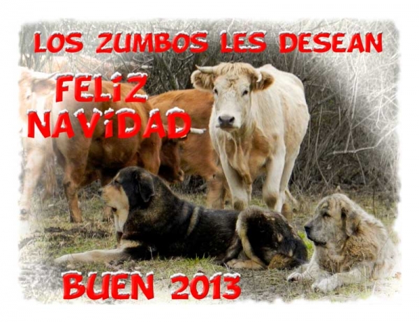 Merry Christmas and Happy New Year 2013 from 'Loz Zumbos', León, Spain
Keywords: zumbos