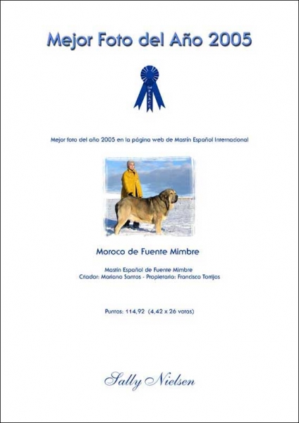 Diploma: MASTÍN ESPAÑOL PHOTO OF THE YEAR 2005.
"MOROCO DE FUENTE MIMBRE" 
with the points: 114.92 (4.42 x 26 votes) 
Breeder: Mariano Santos - Owner: Francisco Torrijos 
(Ch. Ulises de Ablanera & Ch. Margarita de Trashumancia) 
Born the 14.12.2001 


