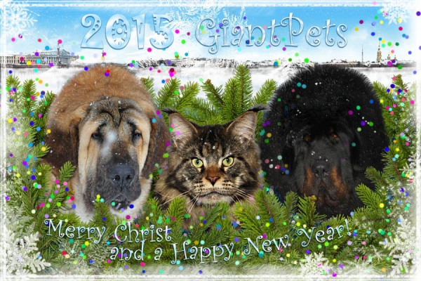 Merry Christmas & Happy New Year 2015 from Giant Pets, Russia
Keywords: xmas