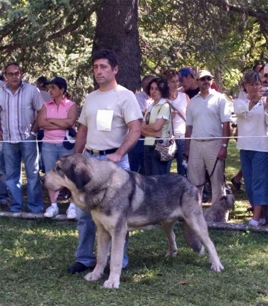 Open Class Males - Barrios de Luna 10.09.2006
Keywords: 2006