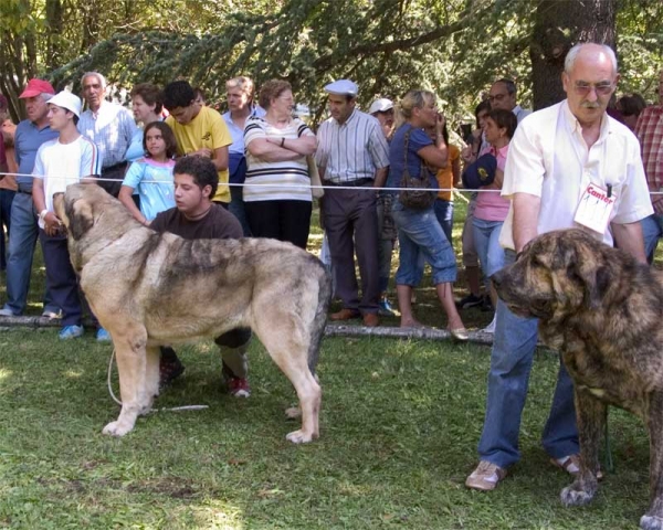 Open Class Males - Barrios de Luna 10.09.2006
At the right: Delco de Autocan
Keywords: 2006