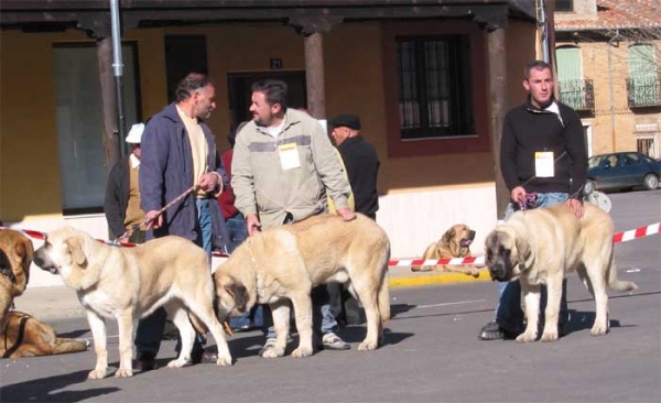 Ron, Sanson & Senda - Mansilla de las Mulas, Leon, 07.11. 2004
Keywords: 2004 baolamadera