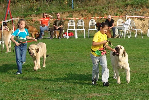 Junior Handling - Club Show Moloss Club, Kromeriz, Czech Rep. 30.09.06
1. Tereza Erbenova with Ramonet 
3. Dagmar Protivinska with Amiga Zazi Bis Mastibe  
Keywords: 2006 kids