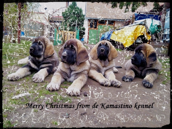 Merry Christmas 2020 from Kamastino
