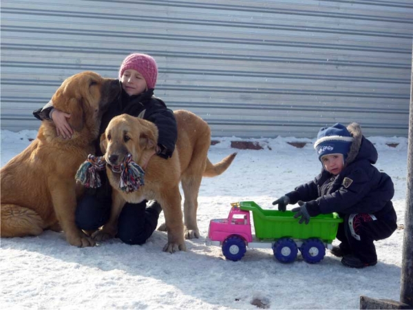 Little nannies for little children 
3. Winner Photo of the Month February 2009 in Mastin Gallery
Keywords: kazakhstan