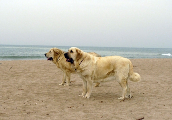 Lois and Roxana Tornado Erben - trip to Spain May 2009
Keywords: tornado water