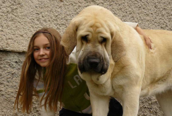 Lois Tornado Erben 
Druso de la Aljabara x Lois Tornado Erben
29.10.2008

Keywords: kids tornado