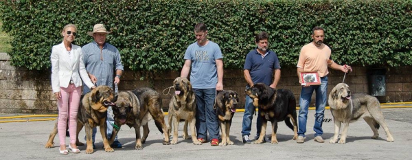 Breeding group Los Piscardos - Villablino 01.08.2015
Keywords: 2015 piscardos