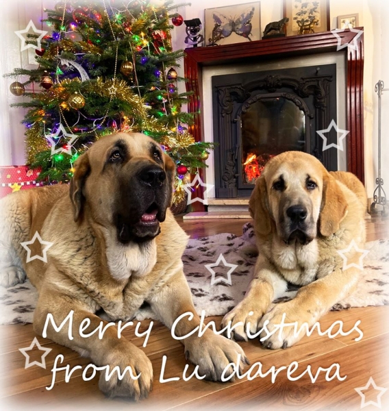 Merry Christmas 2019 from Lu Dareva
