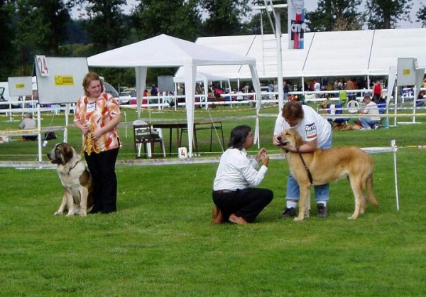 Abbigail z Polabskych Blat: Very Promising 1 & Allivia z Polabskych Blat: Very Promising 2 - Puppy Class Females, International show, Mlada Boleslav 02.09.2007
(Sultan x Daren z Kraje Sokolu) 

Keywords: 2007