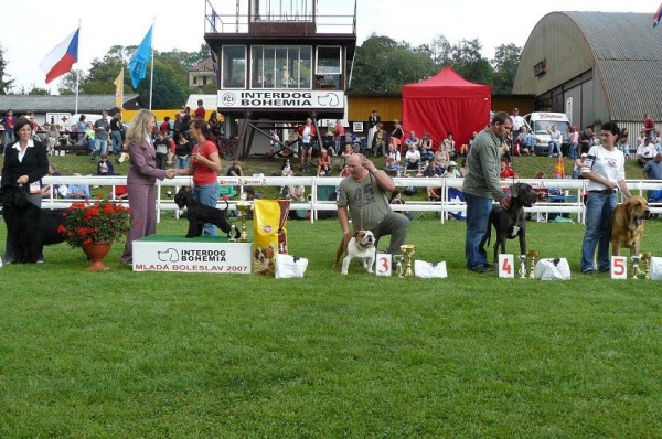 Historia Tornado Erben - Excellent 1, CAC, CACIB, BOB, 5th place in 2nd FCI group - Open Class Females, International show, Mlada Boleslav 02.09.2007
(Druso de la Aljabara x Cassandra Tornado Erben)
Keywords: 2007 confundo