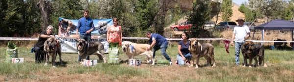 Finales abierta machos - Fresno del Camino, León, Spain 11.08.2019
Keywords: 2019