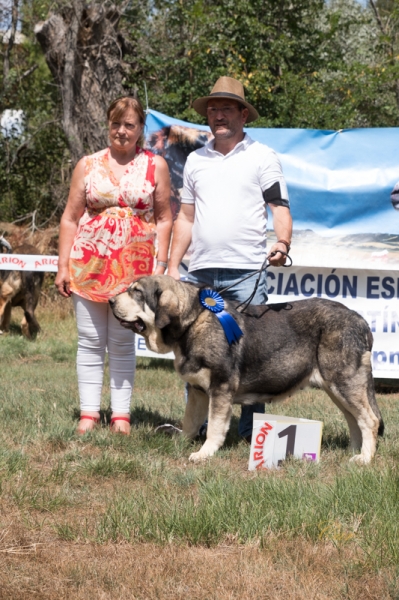 Finales: Mejor intermedia hembra - Fresno del Camino, León, Spain 11.08.2019
Keywords: 2019