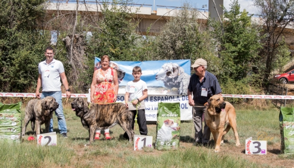 Finales: Mejor jóven hembra - Fresno del Camino, León, Spain 11.08.2019
