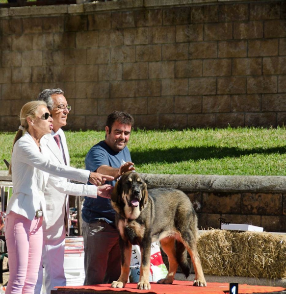 Best Puppy - Villablino 01.08.2015
Trota de la Rabiza

Keywords: 2015