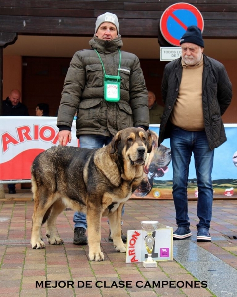 Ada de Cuatro Elementos, mejor clase campeones - Mansilla de las Mulas, Spain 10.11.2019
