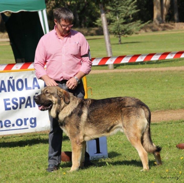 XXXVIII Monográfica Nacional AEPME - Gordoncillo, Leon 08.09.2018
Keywords: 2018