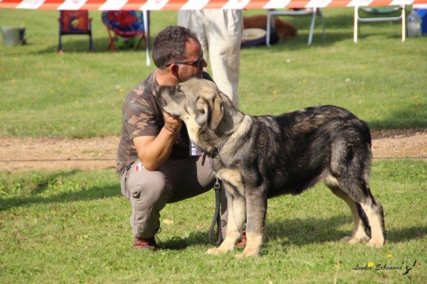 XXXVIII Monográfica Nacional AEPME - Gordoncillo, Leon 08.09.2018
Keywords: 2018 tierradeorbigo