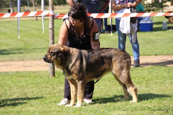 XXXVIII Monográfica Nacional AEPME - Gordoncillo, Leon 08.09.2018
Keywords: 2018