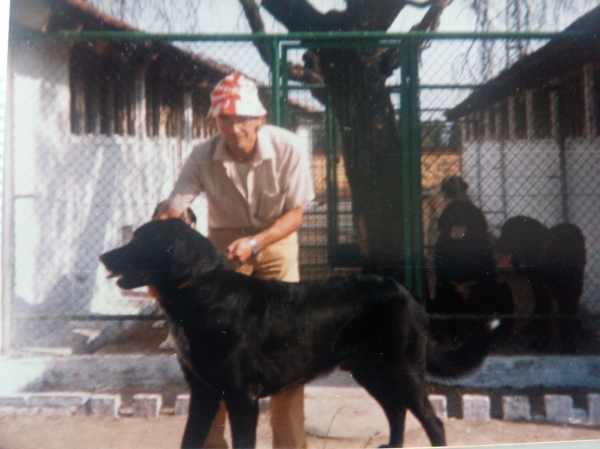 Moro, mastín de nueve meses - Año 1986
Criador Paco Castillejo
Propietario Conrado

Keywords: 1986