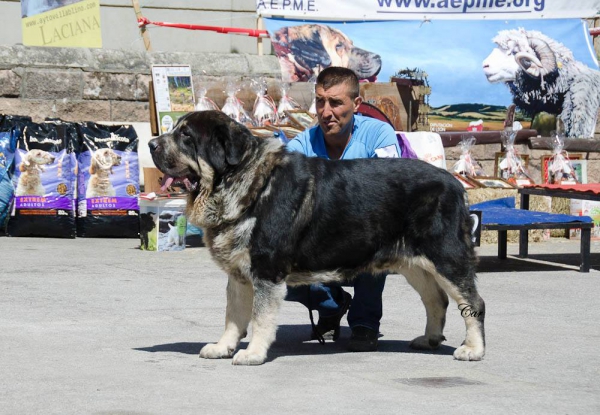 Navarro de los Piscardos - Villablino 01.08.2015
Keywords: 2015