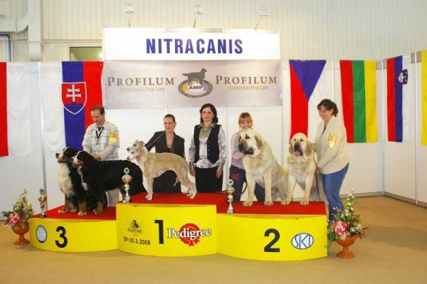 Lucius & Lois Tornado Erben - 2nd best couple of National show, Nitra, Slovakia - 30.03.2008
Keywords: 2008 tornado