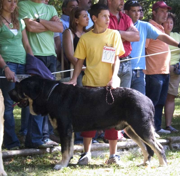 Open Class Males - Barrios de Luna 10.09.2006
No. 107
Keywords: 2006