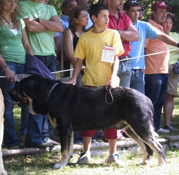 Open Class Males - Barrios de Luna 10.09.2006
No. 107
Keywords: 2006