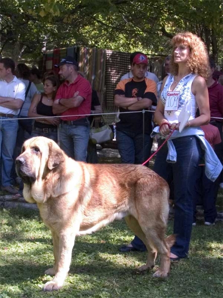 Open Class Males - Barrios de Luna 10.09.2006
No. 109
Keywords: 2006