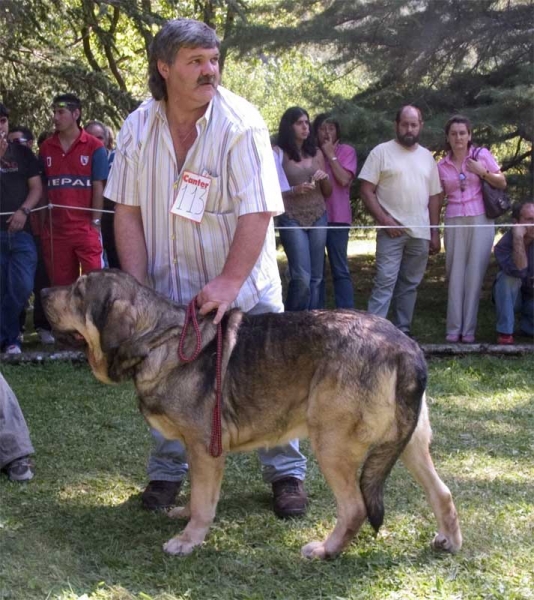 Open Class Males - Barrios de Luna 10.09.2006
No. 113
Keywords: 2006