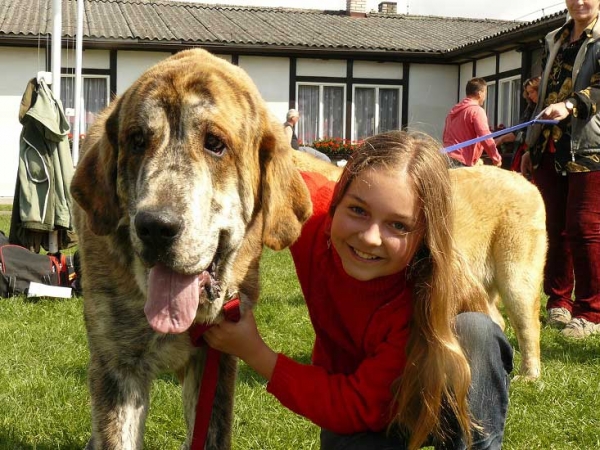 Quanto Tornado Erben: Exc.1 - Young Class Males, National Show, Mlada Boleslav 19.07.09
(Nilo de Campollano x Eleonore Ludareva)

Keywords: 2009 tornado kids