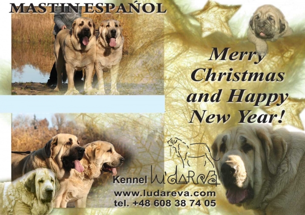 Merry Christmas and Happy New Year 2012 from Lu Dareva, Poland
Keywords: ludareva