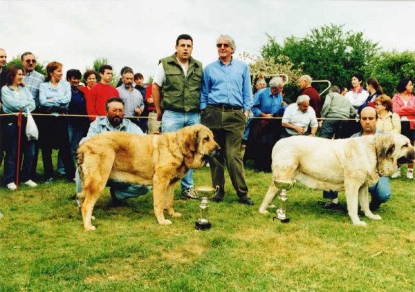 Left: 2ª Golba (Vicheriza) & 1ª Ambra de Ribayon - Open Class Females, Prioro, León 27.06.1999 


Keywords: 1999