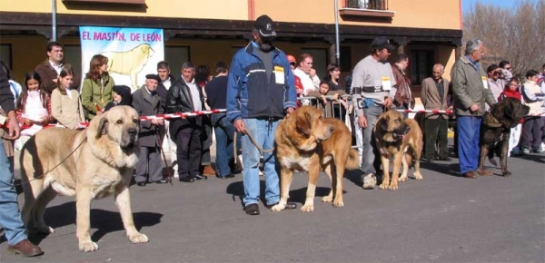 Open Class Males - Mansilla de las Mulas, Leon, 07.11. 2004
Trefwoorden: 2004