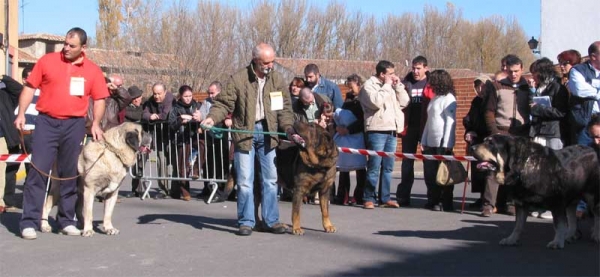 Open Class Males - Mansilla de las Mulas, Leon, 07.11. 2004
Keywords: 2004