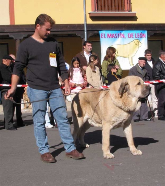 Cantero de Los Zumbos - Open Class Males - Mansilla de las Mulas, Leon, 07.11. 2004
Keywords: 2004