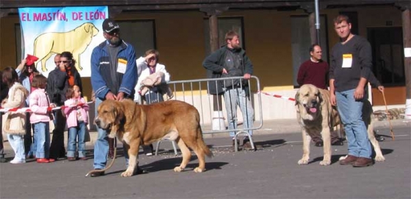 Open Class Males - Mansilla de las Mulas, Leon, 07.11. 2004
Keywords: 2004