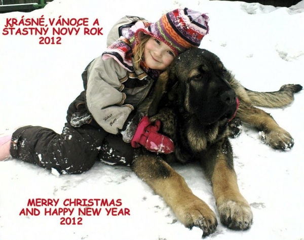 Merry Christmas and Happy New Year 2012 from Sabebe, Czech Republic
