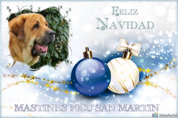 Merry Christmas & Happy New Year 2015 from Picu San Martin, Spain
Keywords: xmas