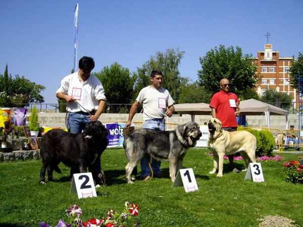 Podium Intermediate Class Females XXVII Monográfica AEPME, 15.09.2007
Keywords: 2007